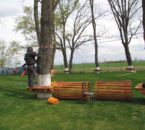 IMG_5203 IMG_5203